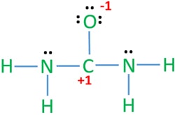 mark charges on atoms in the urea structure